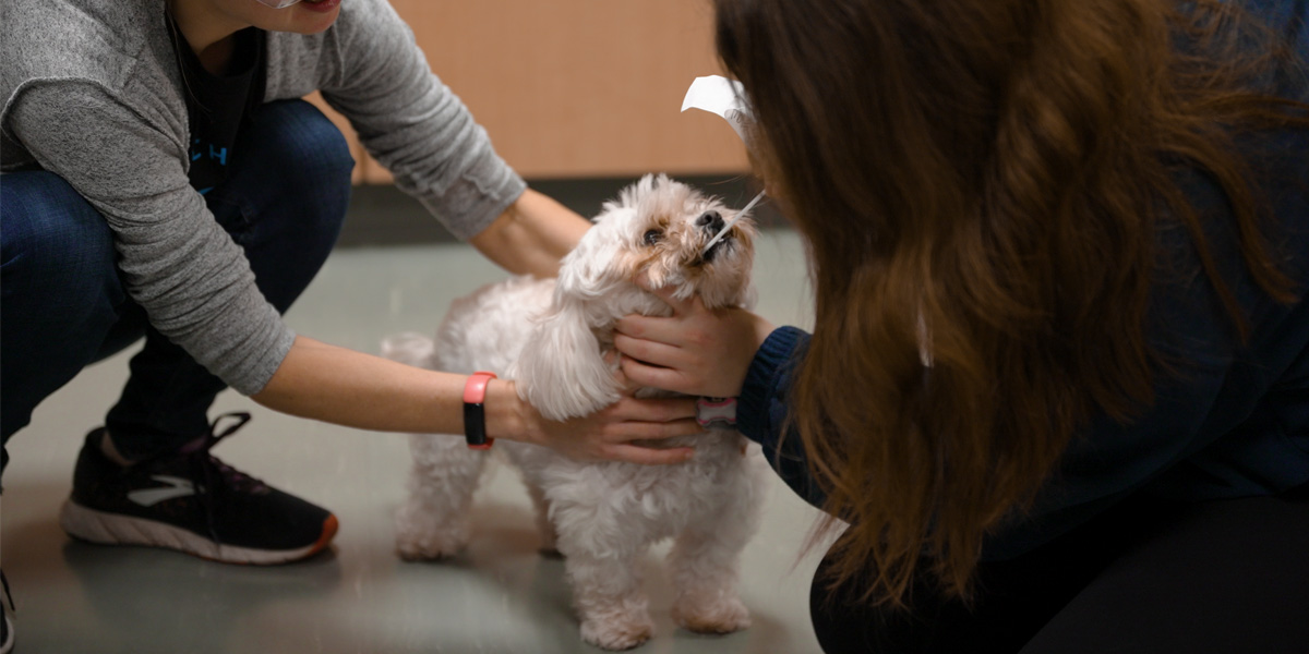 Bio-Care patient